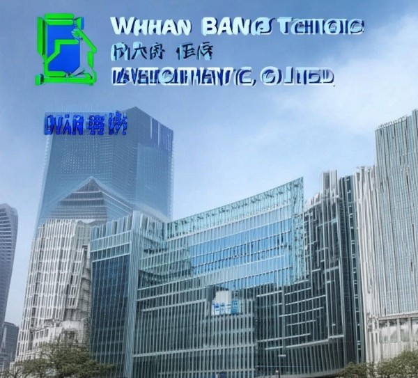 武汉市八方科技开发公司,成就在科技创新中的重要力量